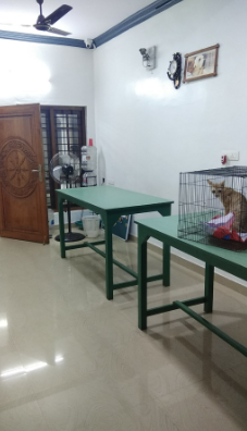 Petlife Veterinary Service Karumam