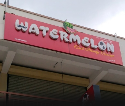 Watermelon Cool Beauty Space Thumpamon