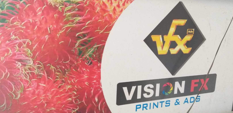 VFX Prints & ADS Plamood