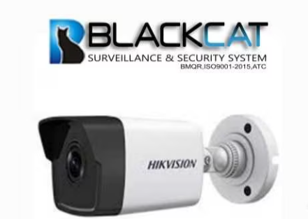Black Cat Surveillance and Security Systems